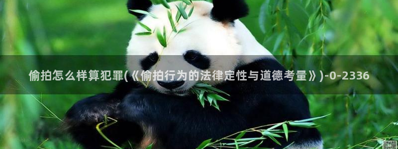 中文字暮国内自拍