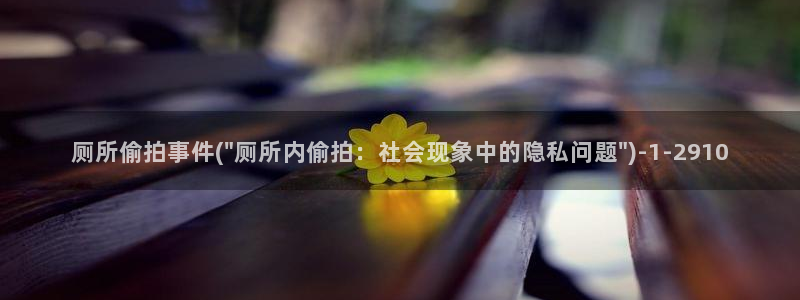 图片区小说区偷拍区