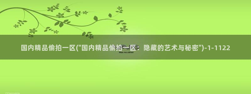 国内偷拍一系列