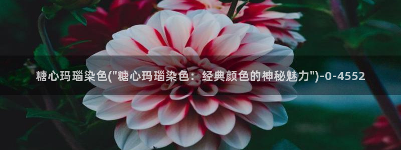 糖心vlog糖心