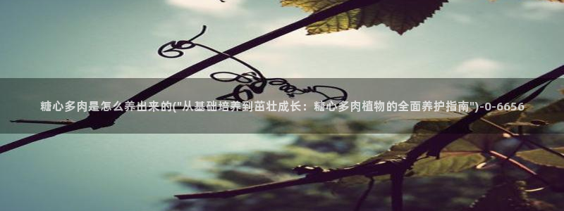 在线糖心vlog