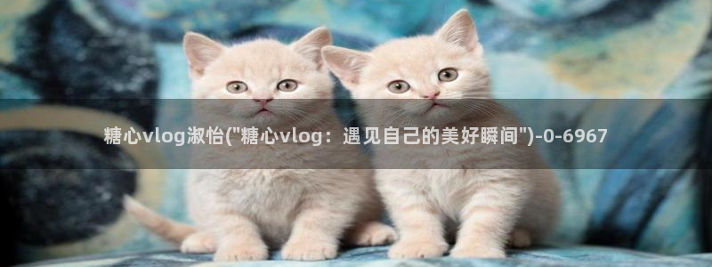 糖心vlog中国