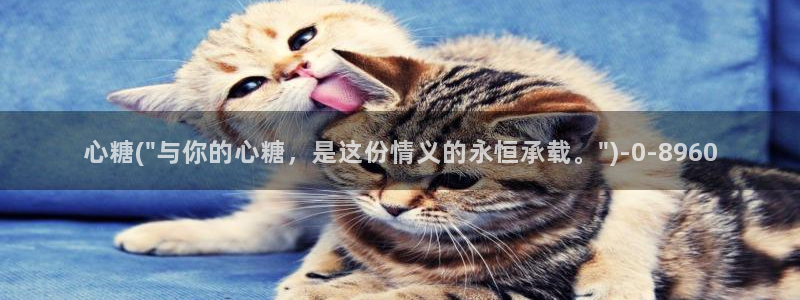糖心vlog免费版.