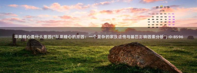 心糖vlog入口