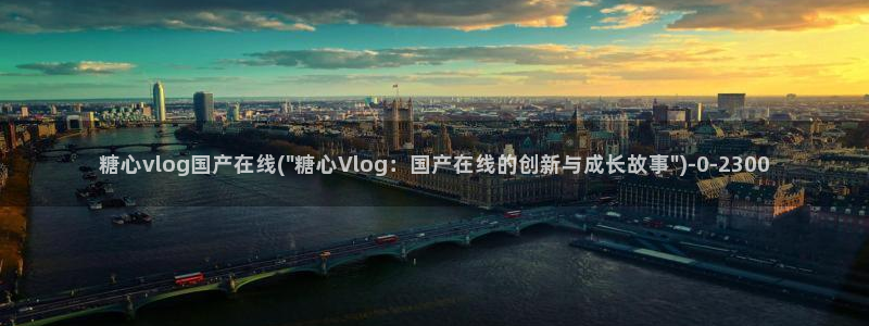 糖心vlog回家