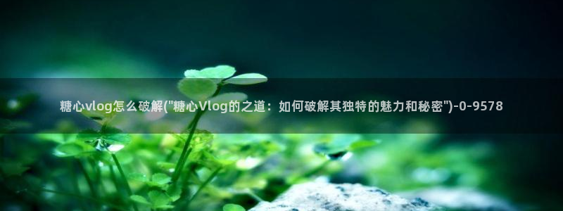 糖心vlog在线观看地址