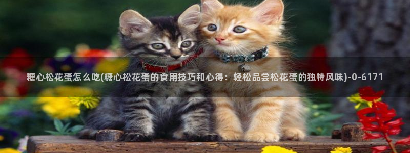 糖心vlog琪琪