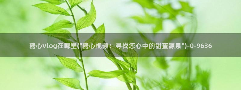 #糖心vlog