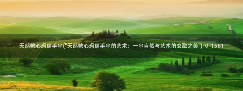 心糖vlog入口