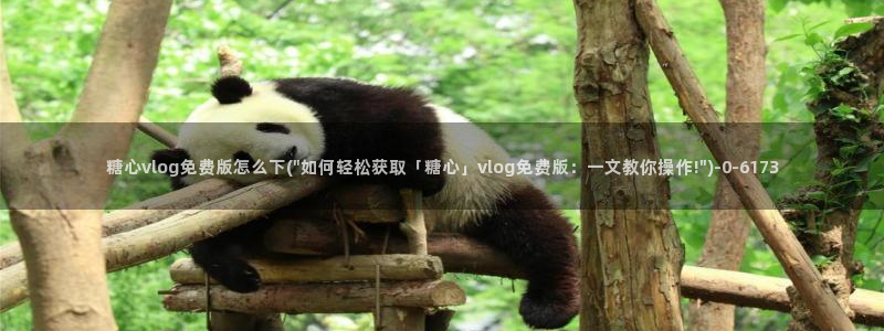糖心vlog高清无码