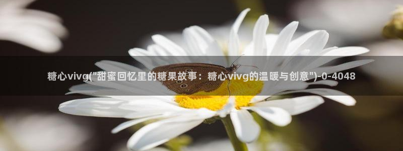 糖心vlog网站入口