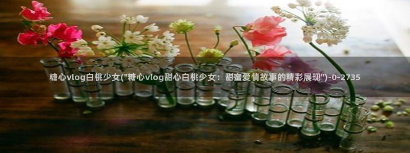 糖心vlog是干什么的