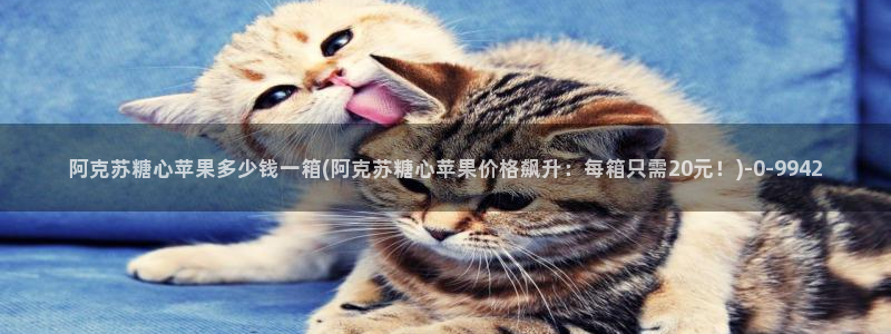 糖心短视频